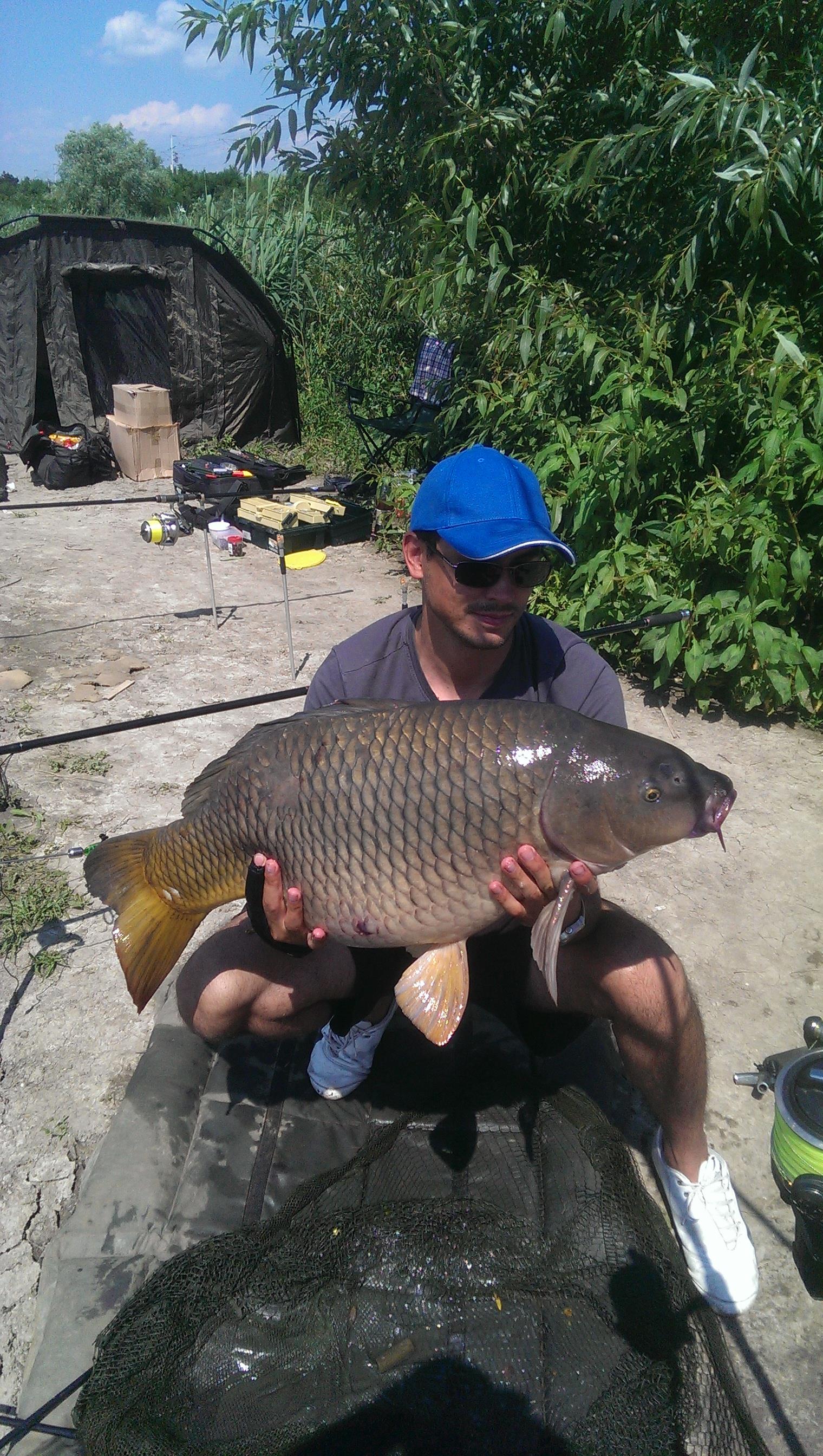 Hermes Peris 22 - 23 iunie 2014 - imag11451.jpg